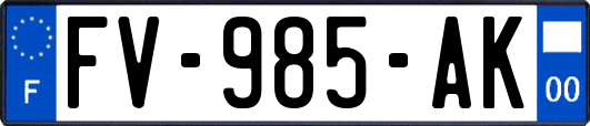 FV-985-AK