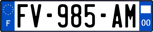 FV-985-AM