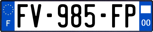FV-985-FP
