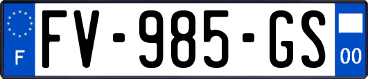 FV-985-GS
