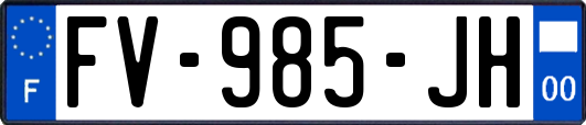 FV-985-JH