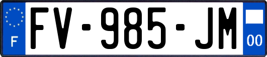 FV-985-JM