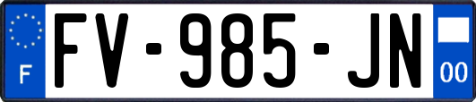 FV-985-JN
