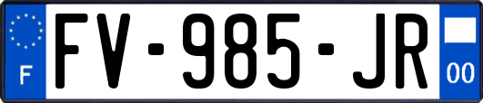 FV-985-JR