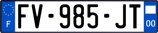 FV-985-JT