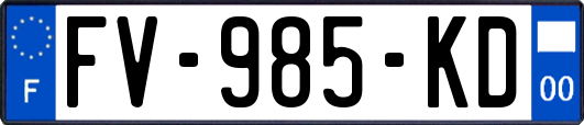 FV-985-KD