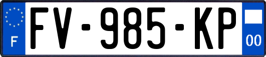 FV-985-KP