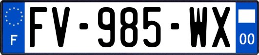 FV-985-WX