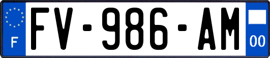 FV-986-AM