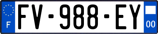 FV-988-EY