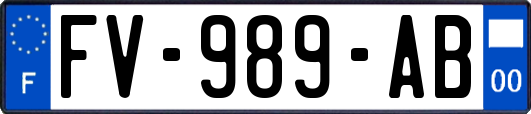 FV-989-AB