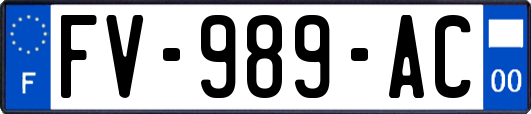 FV-989-AC