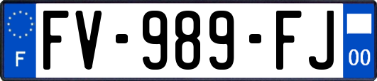 FV-989-FJ