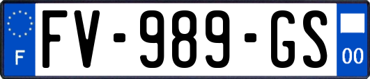 FV-989-GS