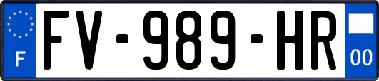 FV-989-HR