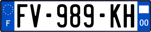 FV-989-KH