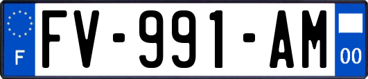 FV-991-AM