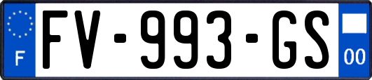 FV-993-GS