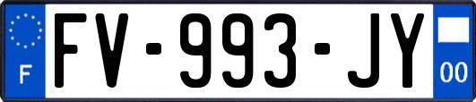 FV-993-JY
