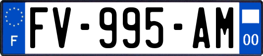 FV-995-AM