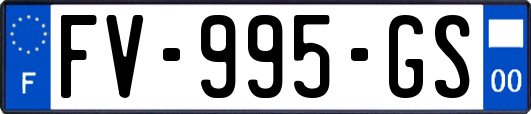 FV-995-GS