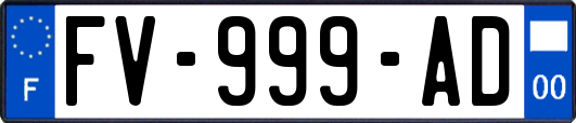 FV-999-AD