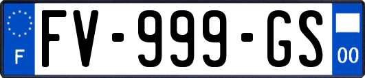 FV-999-GS
