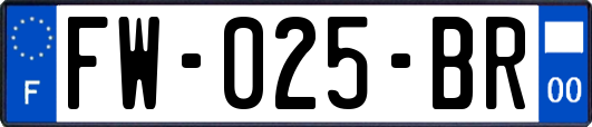 FW-025-BR