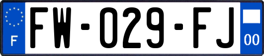 FW-029-FJ