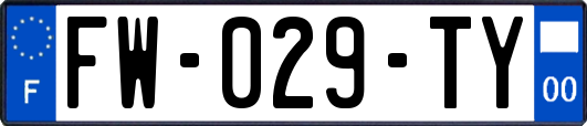 FW-029-TY