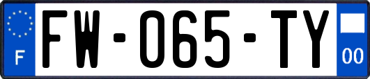 FW-065-TY