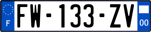 FW-133-ZV