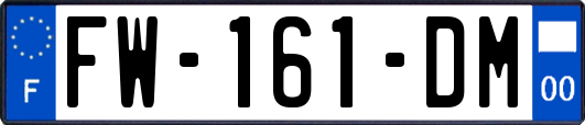 FW-161-DM