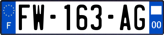 FW-163-AG