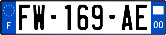 FW-169-AE