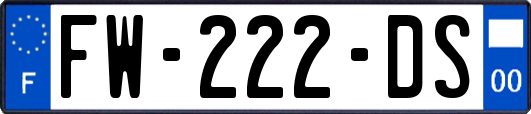 FW-222-DS