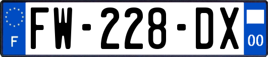 FW-228-DX