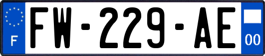 FW-229-AE