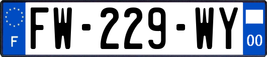 FW-229-WY