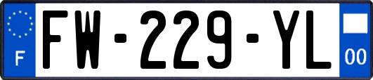 FW-229-YL