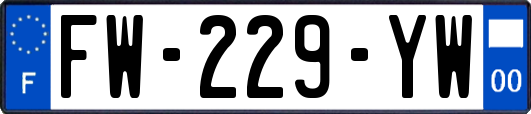 FW-229-YW