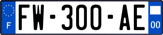 FW-300-AE