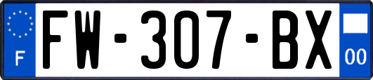 FW-307-BX