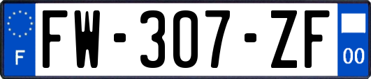 FW-307-ZF