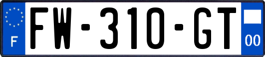 FW-310-GT