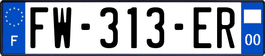 FW-313-ER