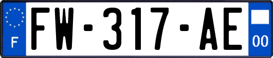 FW-317-AE