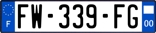 FW-339-FG