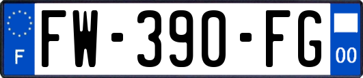 FW-390-FG