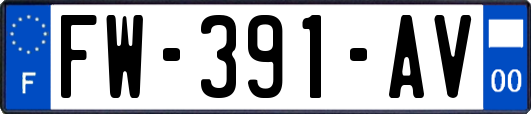 FW-391-AV